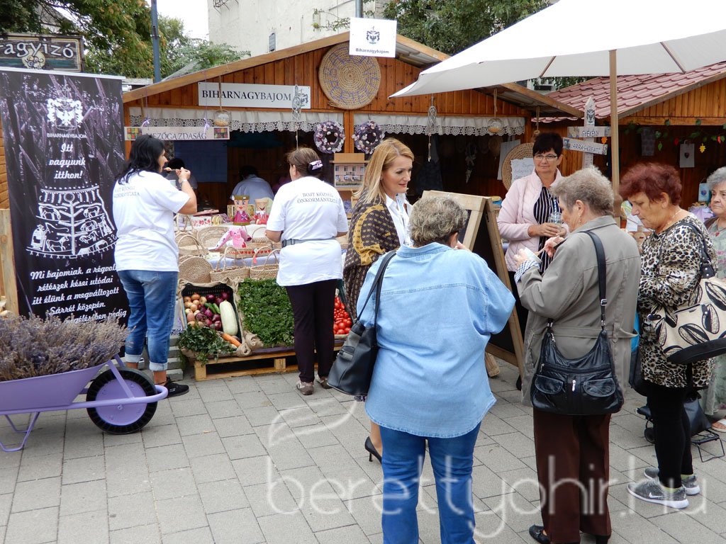 Helyi Értékek Startja 48